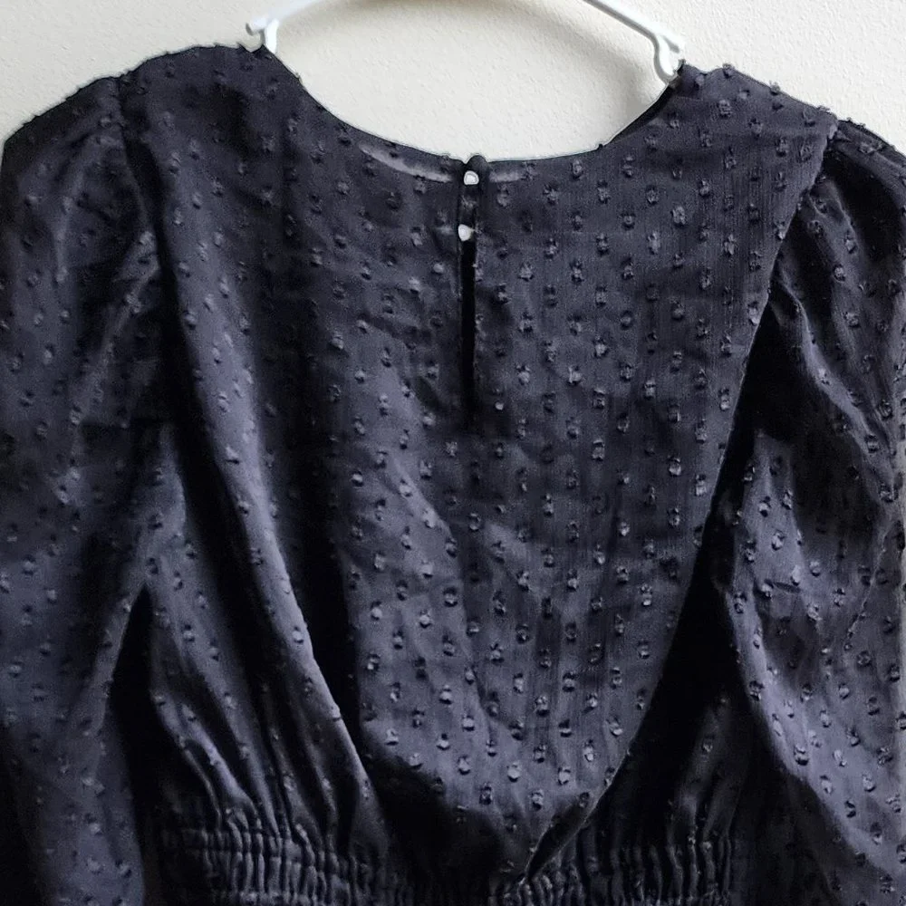 Express Sheer Black Cropped Blouse Size XS